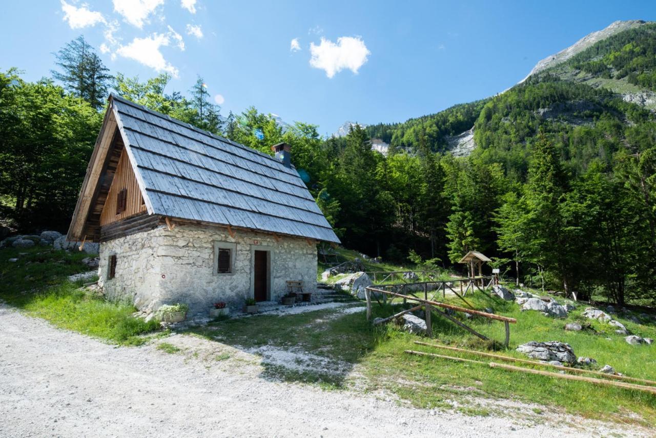 Mountain Heart Holiday House Trenta Eksteriør bilde
